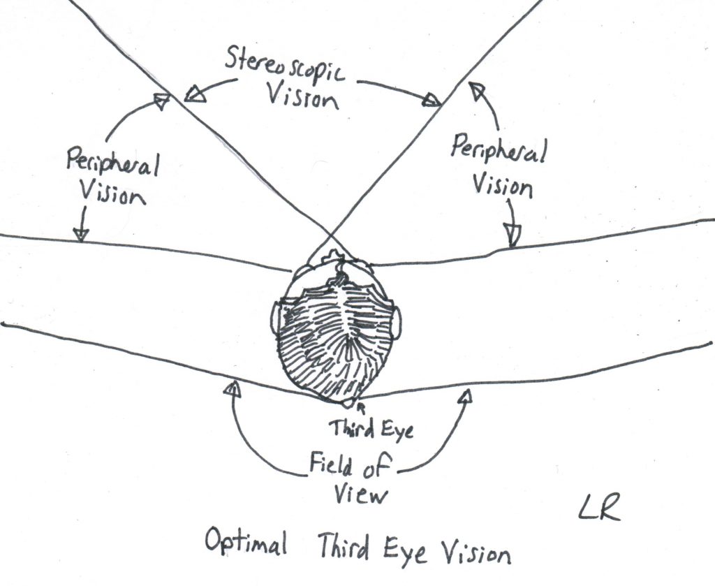 thirdeyeoptimization